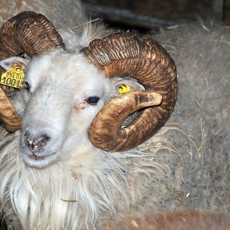 Evry  La Ferme De Flo'ヴィラ エクステリア 写真