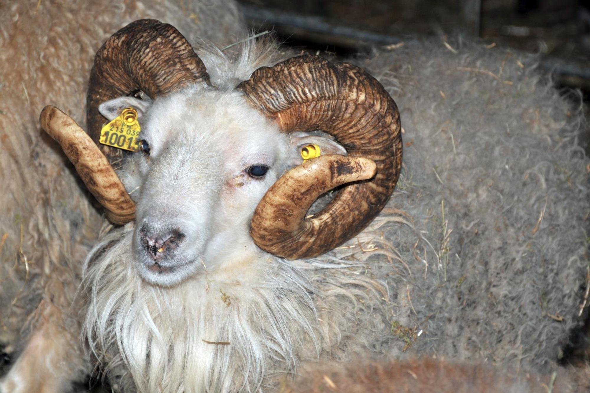 Evry  La Ferme De Flo'ヴィラ エクステリア 写真